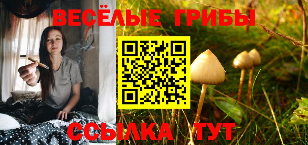 Псилоцибиновые грибы Magic Shrooms Находка