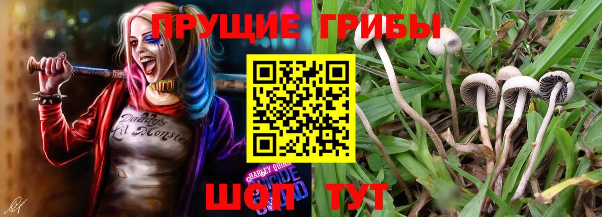Находка  Галлюциногенные грибы MAGIC MUSHROOMS  Вход с VPN 